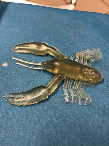 Crayfish Mold